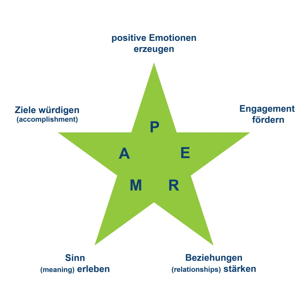 Positive Business Perma Stern Grafik - gemba