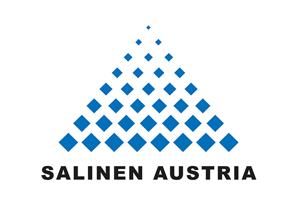 salinen austria Logo - Referenz gemba